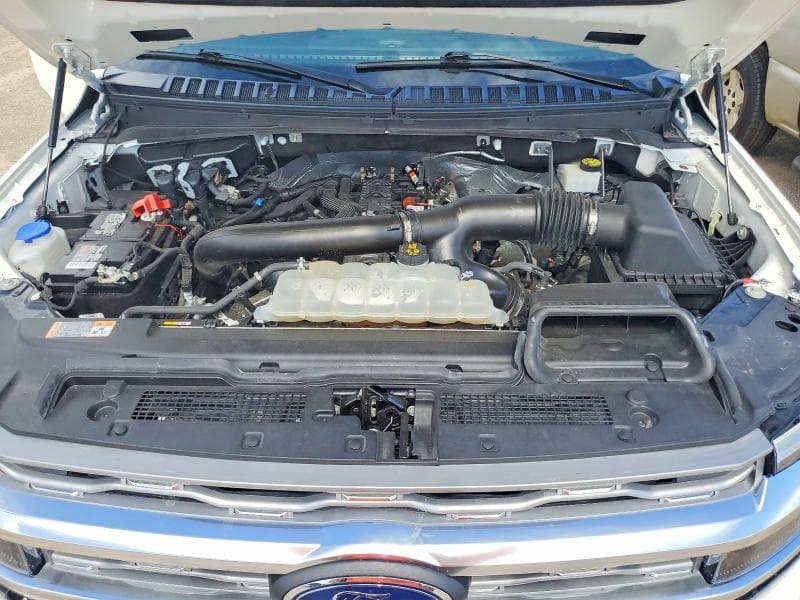 2024 FORD EXPEDITION MAX PLATINUM 12