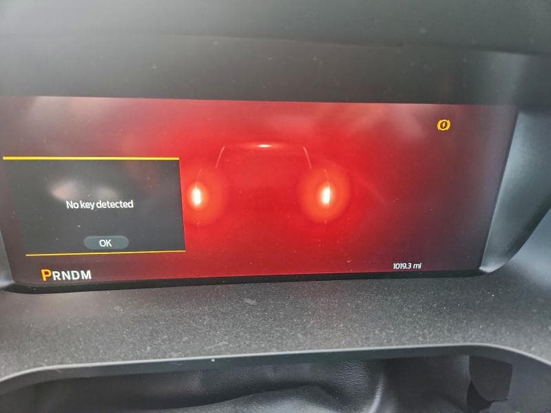 2025 FORD F150 XLT XLT 10