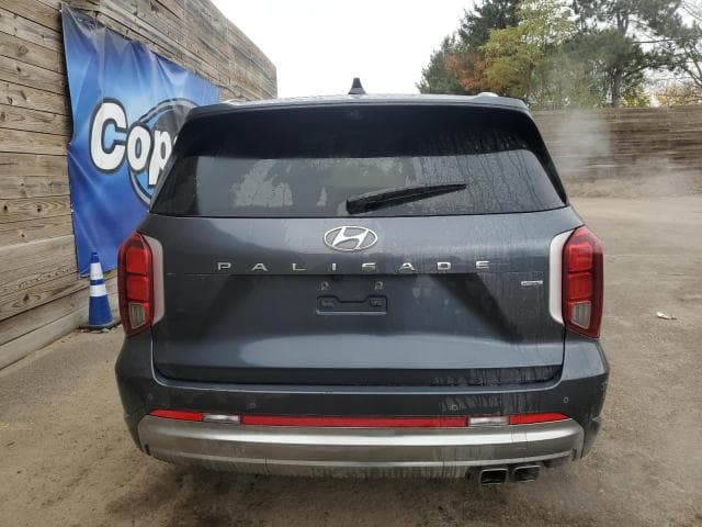 2025 HYUNDAI PALISADE CALLIGRAPHY 6