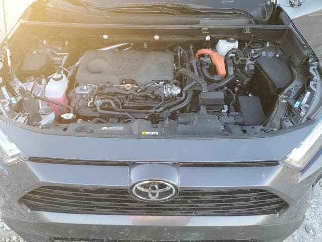 2025 TOYOTA RAV4 LE LE 12