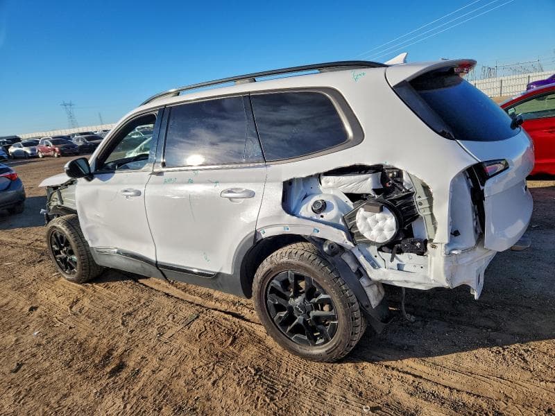 2024 KIA TELLURIDE SX 2