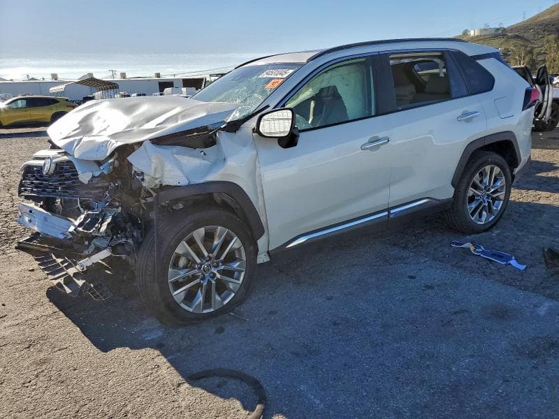 2019 TOYOTA RAV4 LIMITED - 1