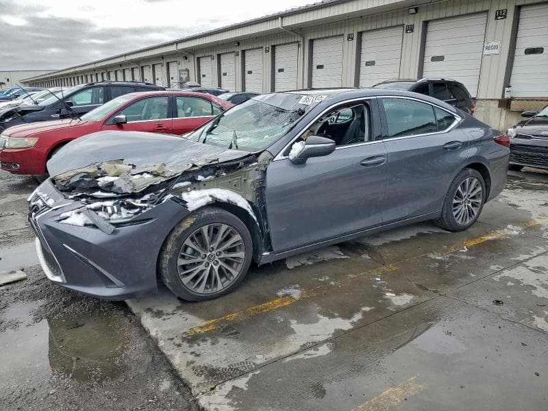 2021 LEXUS ES 250 1