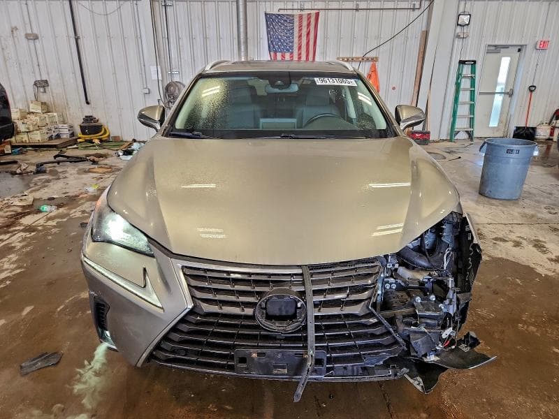 2019 LEXUS NX 300H 5