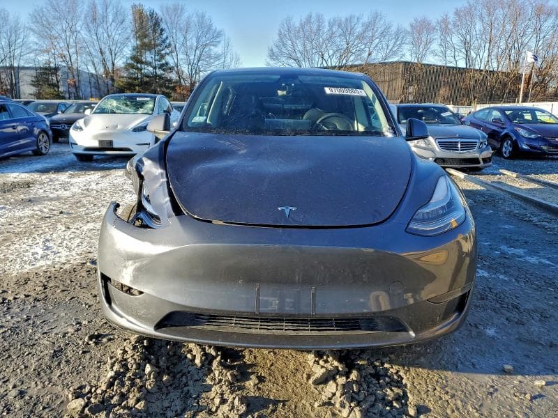 2023 TESLA MODEL Y 5