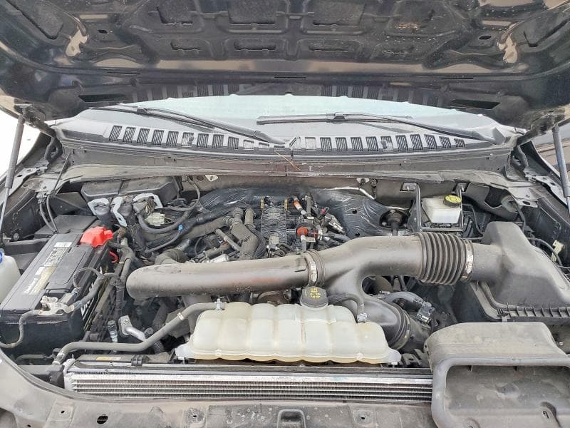 2024 FORD EXPEDITION MAX XLT MAX XLT 12