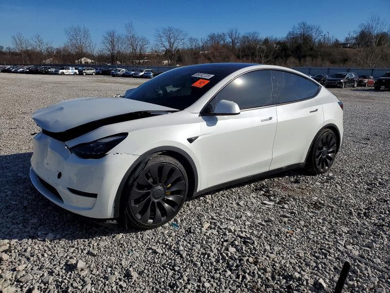 2022 TESLA MODEL Y - 1