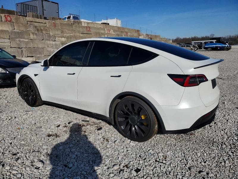 2022 TESLA MODEL Y 2