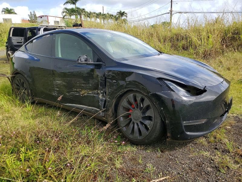 2023 TESLA MODEL Y 4
