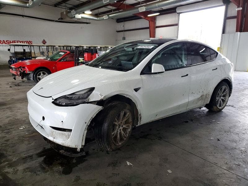 2021 TESLA MODEL Y - 1