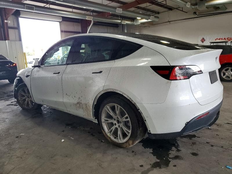 2021 TESLA MODEL Y 2