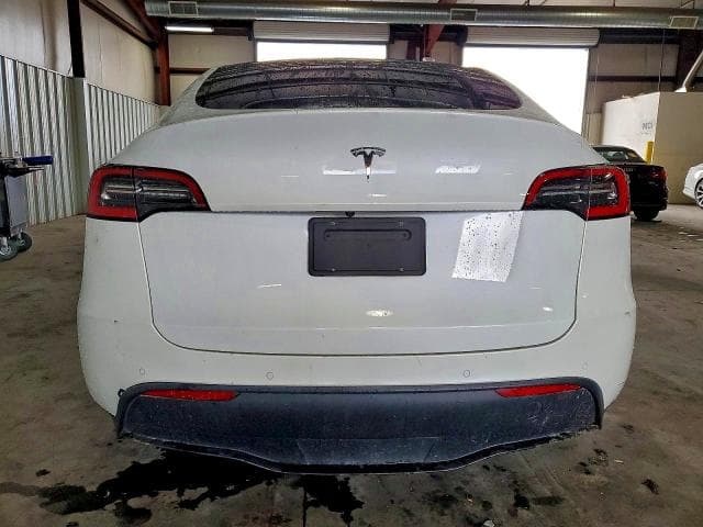 2021 TESLA MODEL Y 6