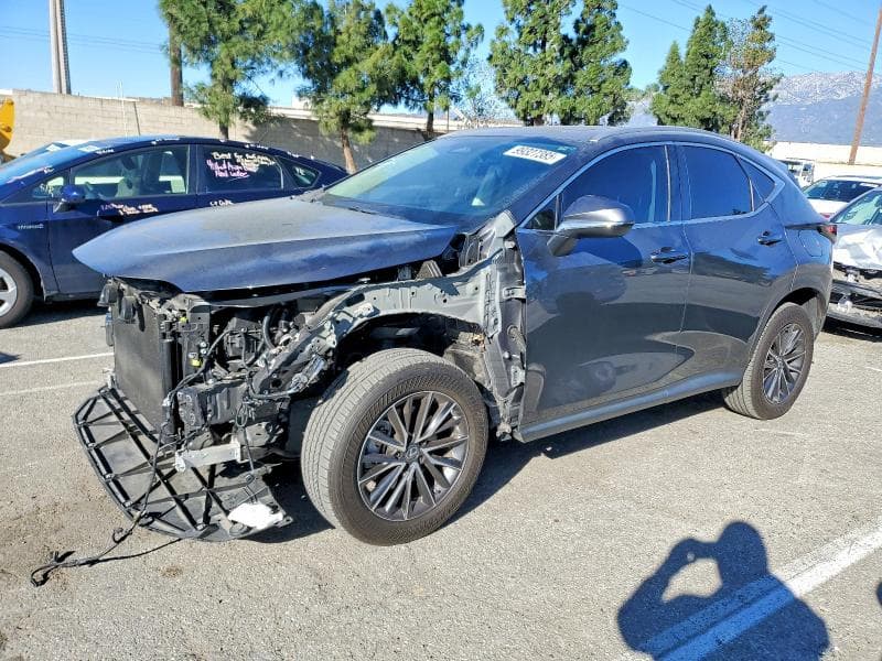 2024 LEXUS NX 350 BASE 350 BASE - 1