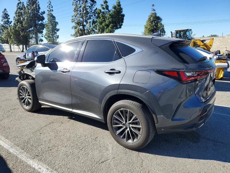 2024 LEXUS NX 350 BASE 350 BASE 2
