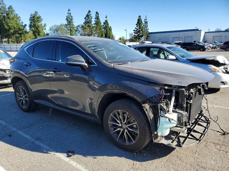 2024 LEXUS NX 350 BASE 350 BASE 4