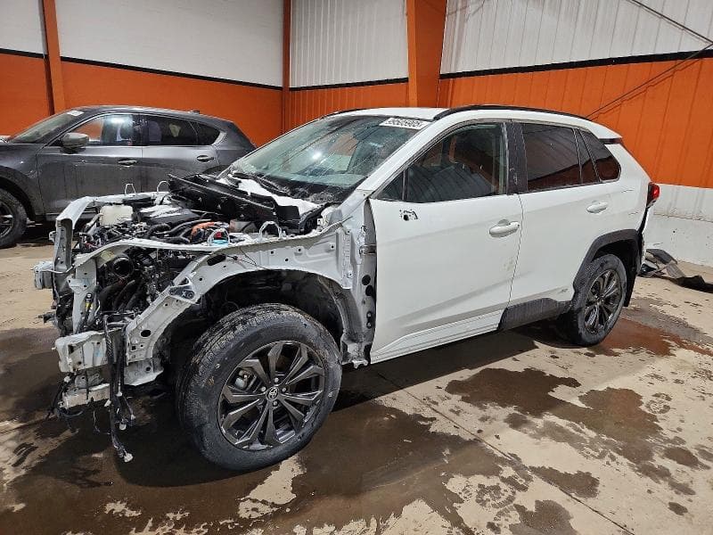 2024 TOYOTA RAV4 XLE - 1