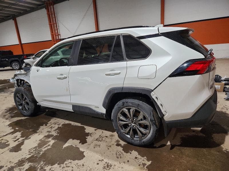 2024 TOYOTA RAV4 XLE 2