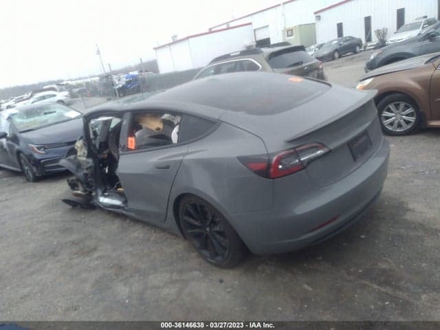 2019 TESLA MODEL 3 PERFORMANCE/LONG RANGE 3