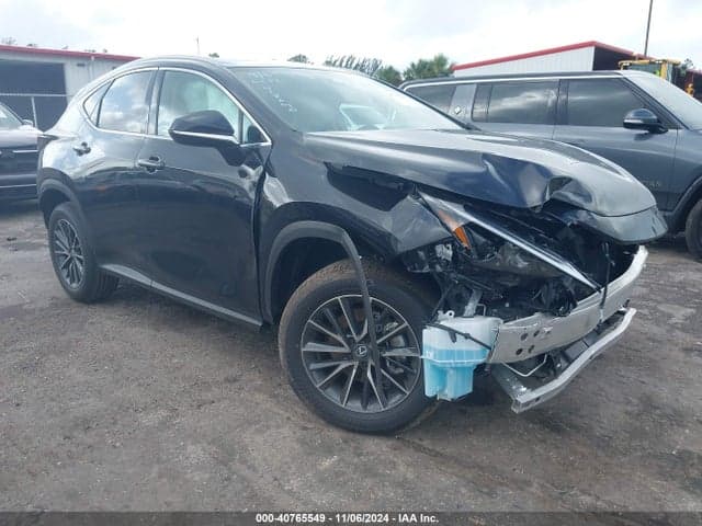 2025 LEXUS NX 250 1