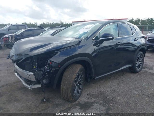 2025 LEXUS NX 250 2