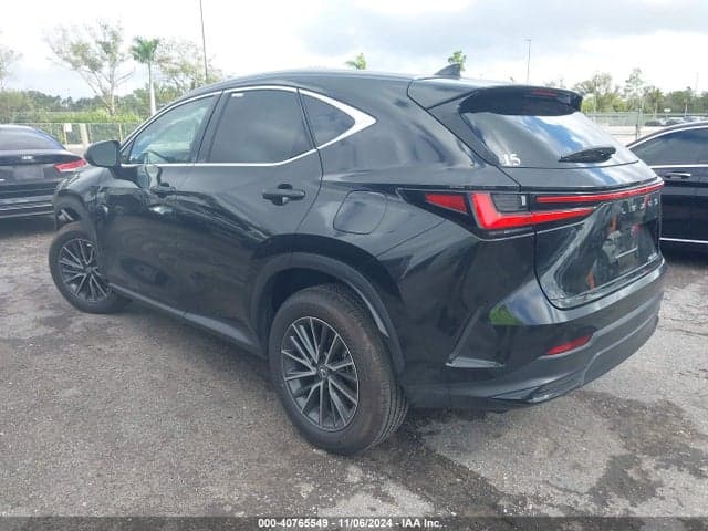 2025 LEXUS NX 250 3