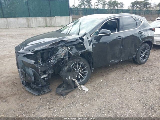 2024 LEXUS NX 350 PREMIUM 2