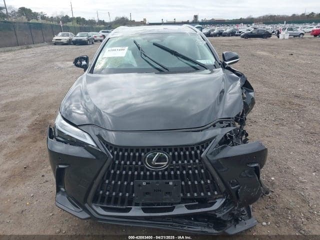 2024 LEXUS NX 350 PREMIUM 11