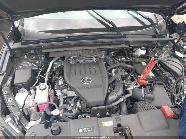 2024 LEXUS NX 350 PREMIUM 10