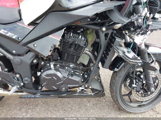2024 ROADSTER 250 XPRO 8
