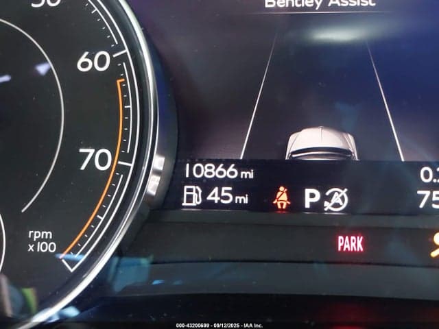 2018 BENTLEY BENTAYGA ACTIVITY EDITION/BLACK EDITION/MULLINER/ONYX EDITION/W12 16