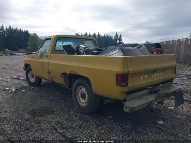 1973 CHEVROLET PU 3