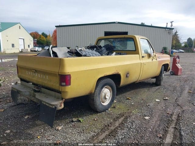 1973 CHEVROLET PU 4