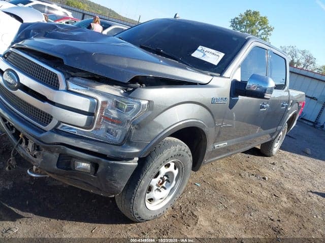 2019 FORD F-150 PLATINUM 2