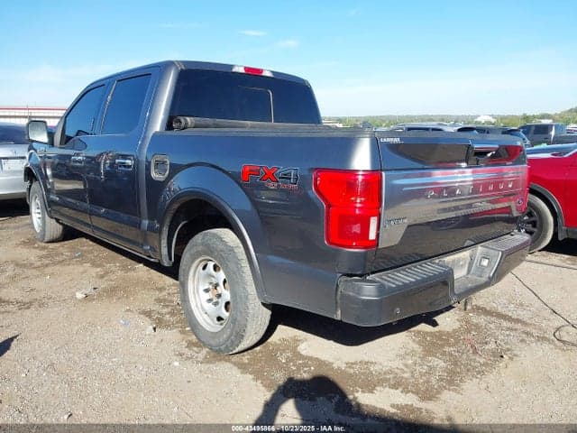 2019 FORD F-150 PLATINUM 3