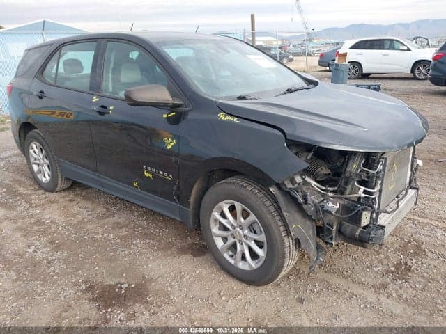 2019 CHEVROLET EQUINOX LS 1