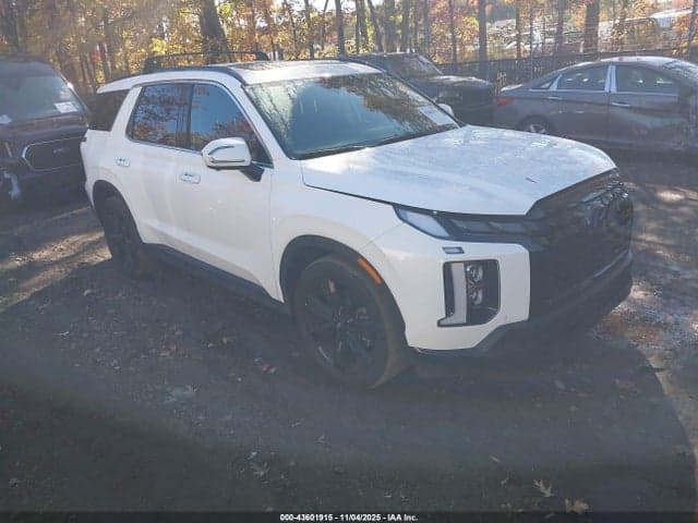 2025 HYUNDAI PALISADE XRT - 1