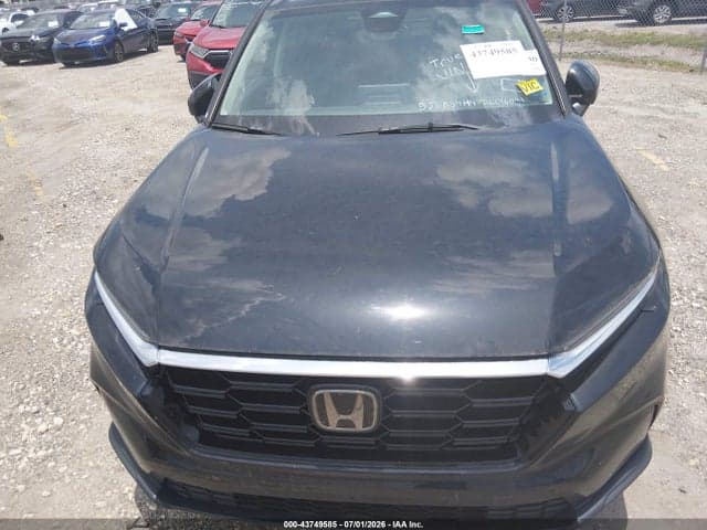 2024 HONDA CR-V EX AWD 6