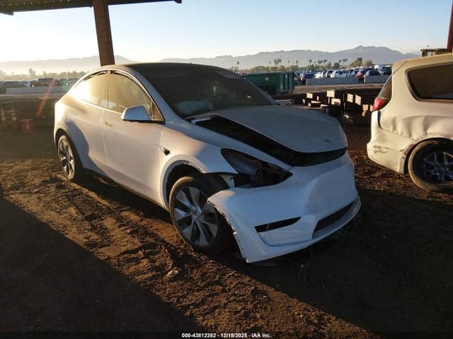 2023 TESLA MODEL Y 1