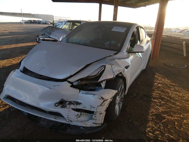 2023 TESLA MODEL Y 2