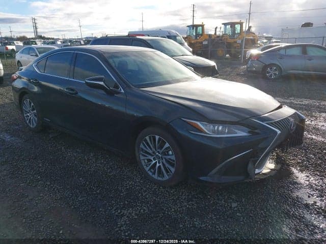 2019 LEXUS ES 300H 1