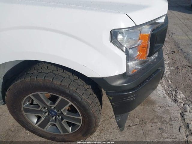 2019 FORD F-150 XL 15