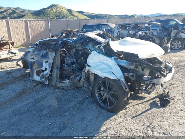 2024 TESLA MODEL Y RWD