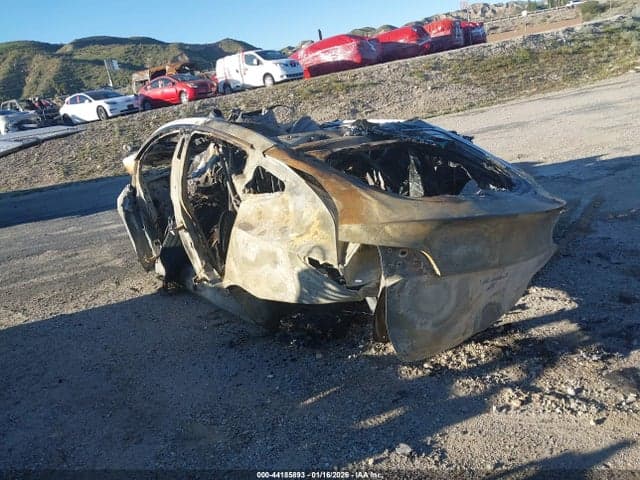 2024 TESLA MODEL Y RWD 3