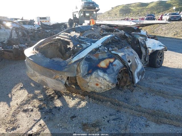 2024 TESLA MODEL Y RWD 4