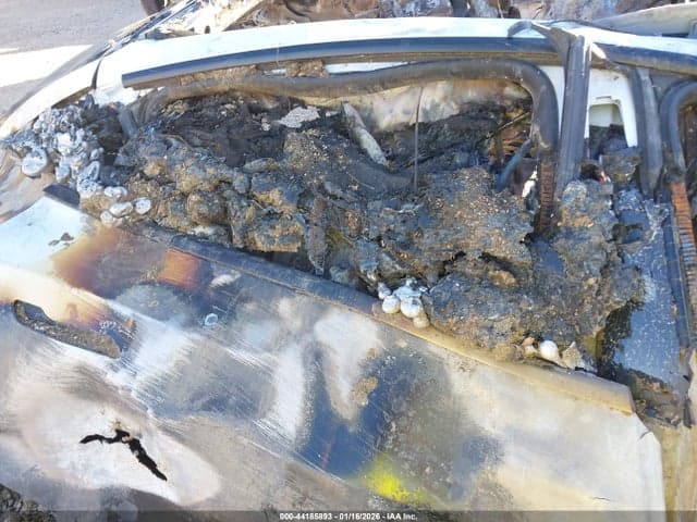 2024 TESLA MODEL Y RWD 7