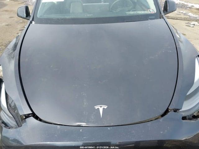 2024 TESLA MODEL Y RWD 10