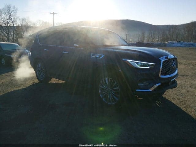 2019 INFINITI QX80 LUXE - 1