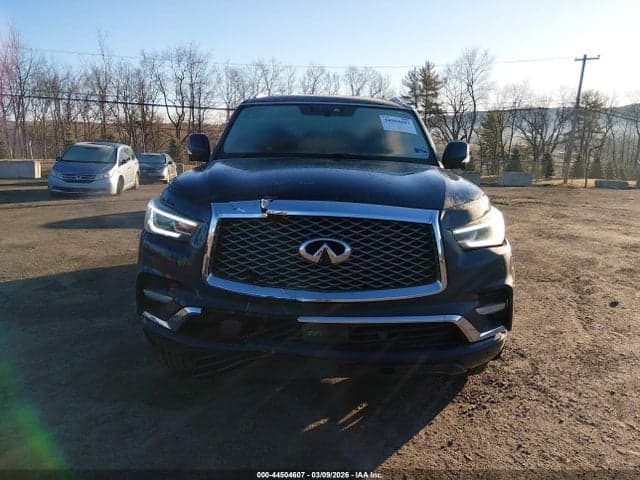 2019 INFINITI QX80 LUXE 12
