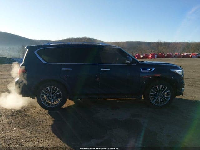2019 INFINITI QX80 LUXE 13
