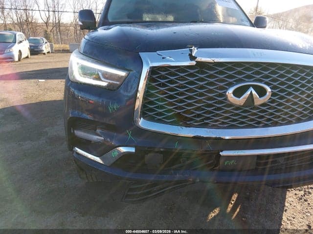 2019 INFINITI QX80 LUXE 17